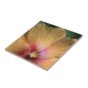 Azulejo De Cerâmica Orange Hibiscus Ruffle