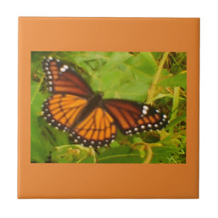 Azulejo De Cerâmica Orange Monarch
