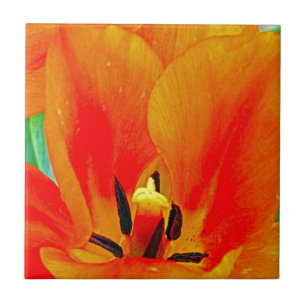 Azulejo De Cerâmica Orange Tulip
