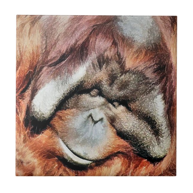 AZULEJO DE CERÂMICA  ORANGUTAN (Frente)