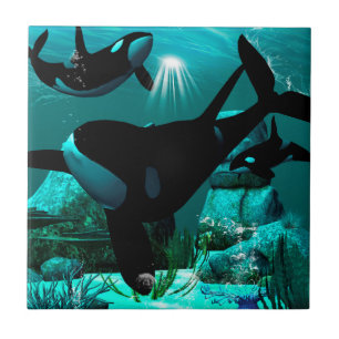 Azulejo De Cerâmica Orcas
