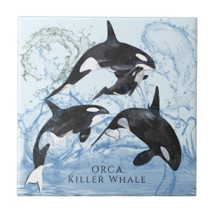 Azulejo De Cerâmica Orcas Incríveis de Preto e Branco