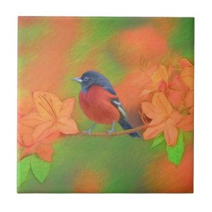 Azulejo De Cerâmica Orchard Oriole Songbird Pintura Original