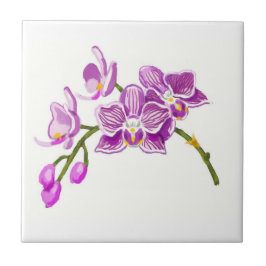 Azulejo De Cerâmica Orchids 