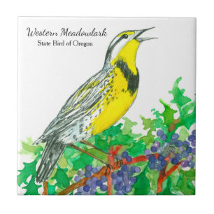 Azulejo De Cerâmica Oregon Souvenir Meadowlark Botânico