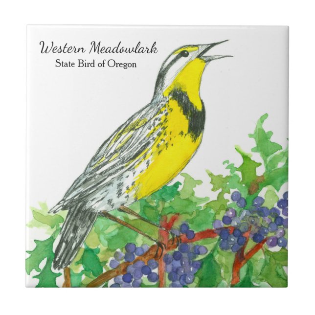Azulejo De Cerâmica Oregon Souvenir Meadowlark Botânico (Frente)