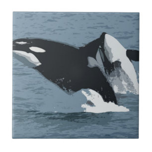 Azulejo De Cerâmica Orka Whale