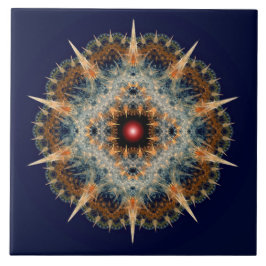 Azulejo De Cerâmica Ornamento picante fractal