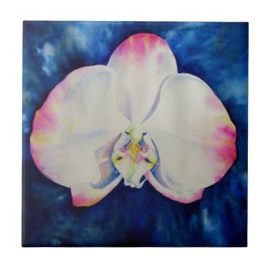Azulejo De Cerâmica Orquídea Bege Rosa