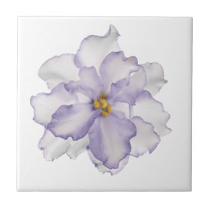Azulejo De Cerâmica Orquídea bonita da lavanda no branco