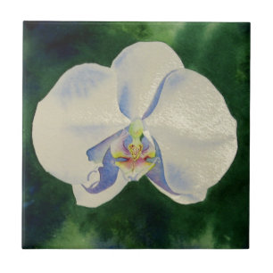 Azulejo De Cerâmica Orquídea branca