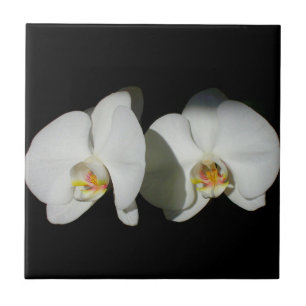 Azulejo De Cerâmica Orquídea branca, flores brancas tropicais