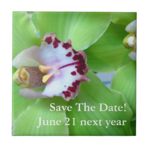 Azulejo De Cerâmica Orquídea de Cymbidium Verde
