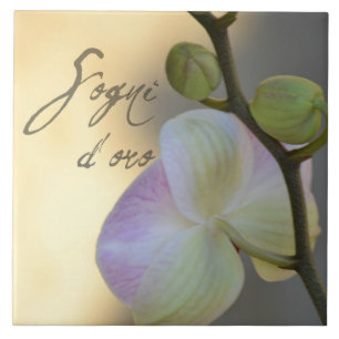 Azulejo De Cerâmica Orquídea de Sogni D'oro (sonhos doces)