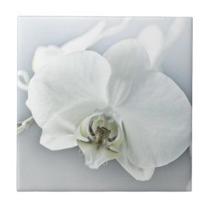 Azulejo De Cerâmica Orquídea Phalaenopsis Branca