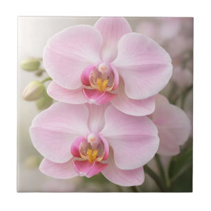 Azulejo De Cerâmica Orquídea Phalaenopsis Rosa Suave