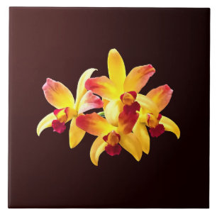 Azulejo De Cerâmica Orquídeas Amarelas e Maroon Brassolaeliocattleya
