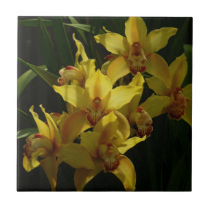 Azulejo De Cerâmica Orquídeas Amarelas Sunitas Floral