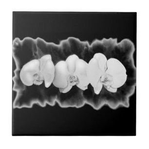 Azulejo De Cerâmica Orquídeas brancas de cor branca escura Elegante