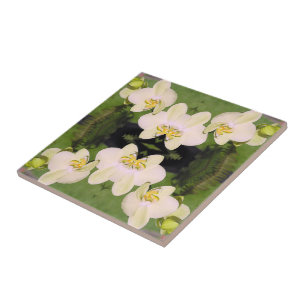 Azulejo De Cerâmica Orquídeas brancas em um fundo verde