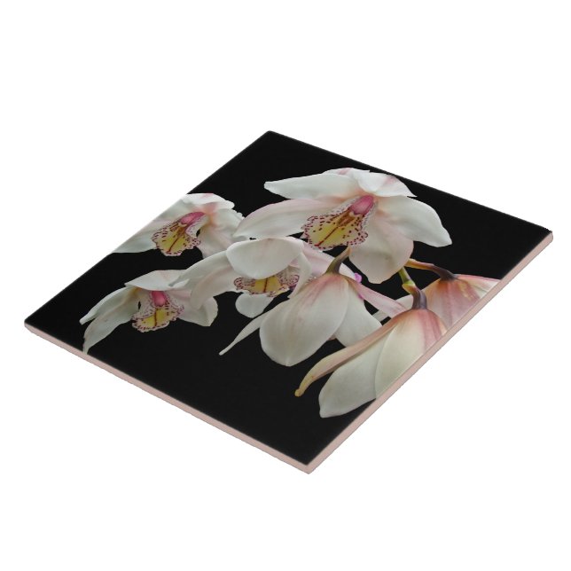 Azulejo De Cerâmica Orquídeas-Creme e Rosa em Preto (Lateral)