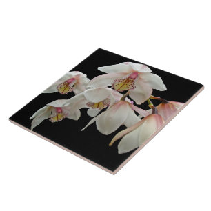 Azulejo De Cerâmica Orquídeas de creme e cor-de-rosa no preto