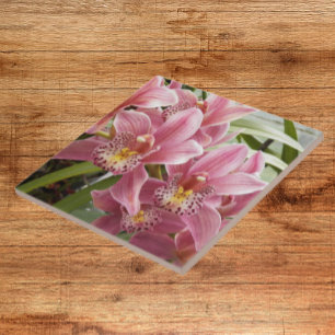 Azulejo De Cerâmica Orquídeas de Cymbidium Cor-de-rosa adorável