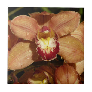 Azulejo De Cerâmica Orquídeas de pêssego com Raindrops Floral