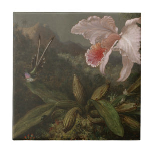 Azulejo De Cerâmica Orquídeas e colibris da selva