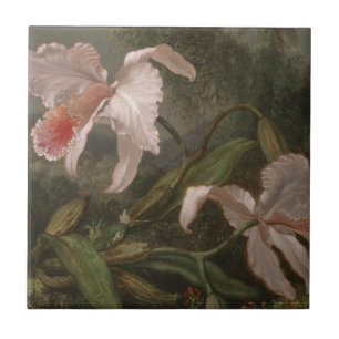 Azulejo De Cerâmica Orquídeas e colibris da selva