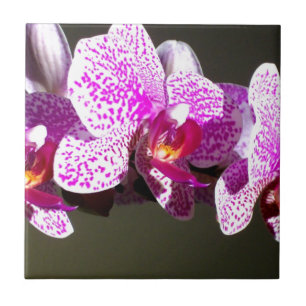 Azulejo De Cerâmica Orquídeas Rosa 2