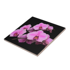 Azulejo De Cerâmica Orquídeas Rosa Elegantes Phalaenopsis a Preto