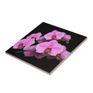 Azulejo De Cerâmica Orquídeas Rosa Elegantes Phalaenopsis a Preto