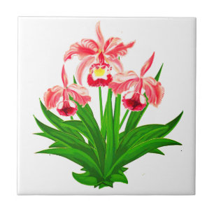 Azulejo De Cerâmica Orquídeas Selvagens - Orquídeas Rosa-Coral e Folha