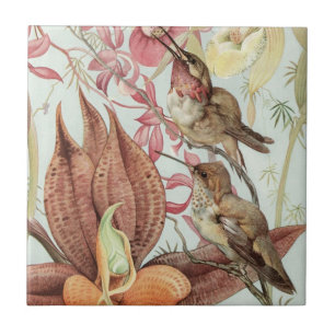 Azulejo De Cerâmica Orquídeas Tropicais, Flores e Aves Humanas Vintage