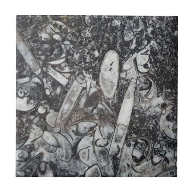 Azulejo De Cerâmica Ortosseras e fóssil de Goniatite (Frente)