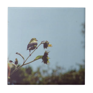 Azulejo De Cerâmica Os meus visitantes favoritos. #ave #natureza #vida