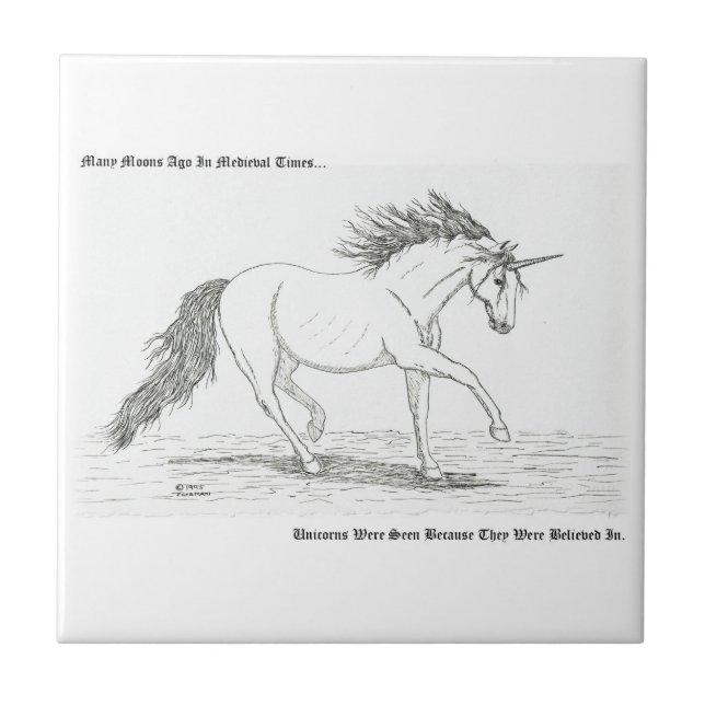 Azulejo De Cerâmica Os Unicórnios São Reais (Frente)