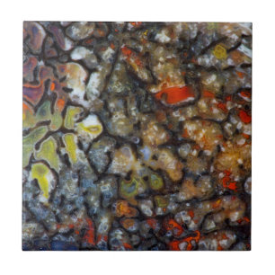 Azulejo De Cerâmica Osso de Dinossauro Colorido