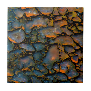 Azulejo De Cerâmica Osso de dinossauro petrificado laranja