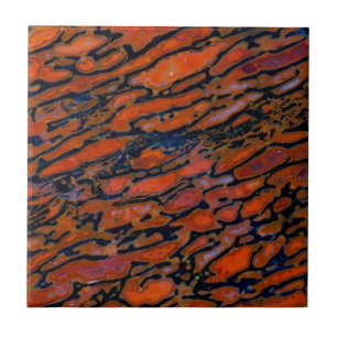 Azulejo De Cerâmica Osso de dinossauro petrificado vermelho