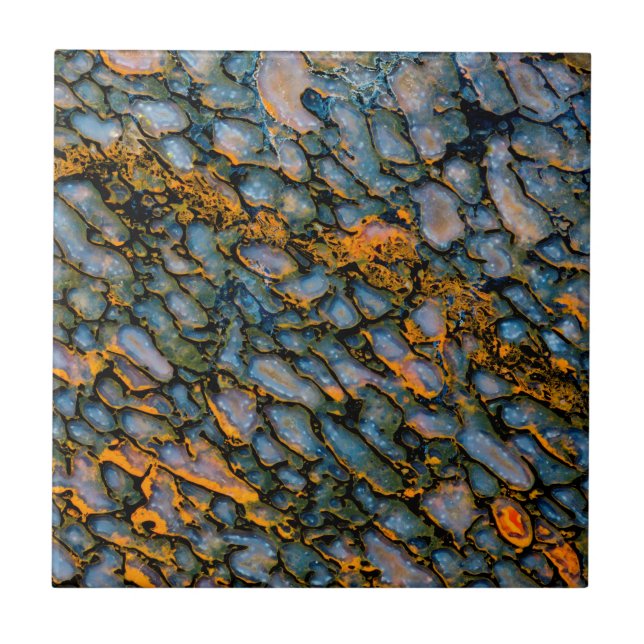 Azulejo De Cerâmica Osso do Dinossauro Petrificado (Frente)