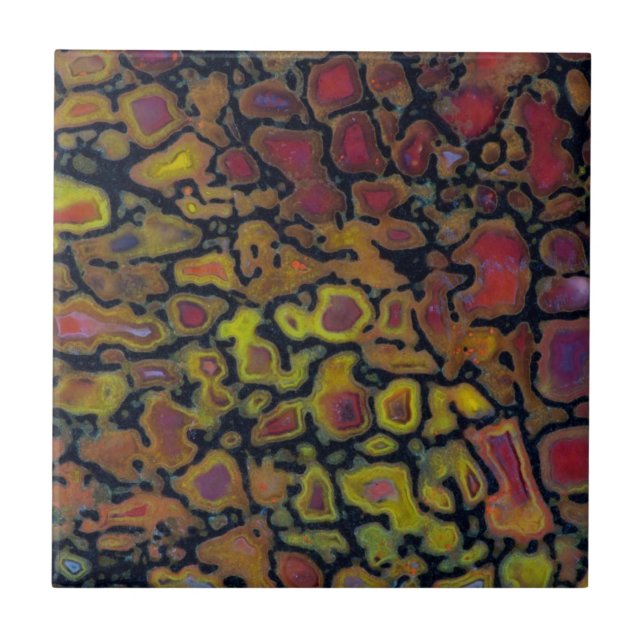 Azulejo De Cerâmica Osso do Dinossauro Petrificado (Frente)