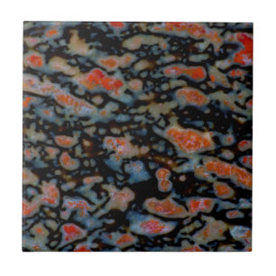 Azulejo De Cerâmica Osso do Dinossauro Petrificado Colorido