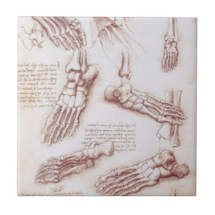 Azulejo De Cerâmica Ossos do Pé da Anatomia Humana de Leonardo da Vinc