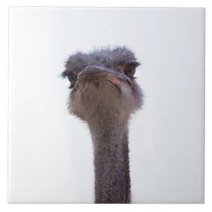 Azulejo De Cerâmica Ostrish Coffee Mug Invent Chaveiro