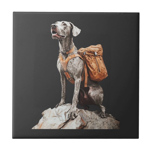 Azulejo De Cerâmica Ótimo Pitbull Dane (Frente)