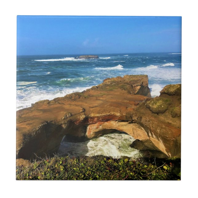 Azulejo De Cerâmica Otter Rock no Parque Estadual do Punchbowl do Diab (Frente)