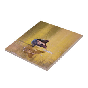 Azulejo De Cerâmica Ouro