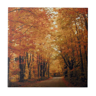 Azulejo De Cerâmica Ouro Autumn Road